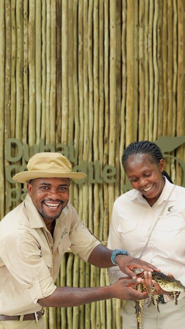 We are excited to have you come and meet our cuties!
Join us every Thursday Friday Saturday Sunday from 5pm.

#dubaicrocodilepark #crocodile #dubai #dubaidestination #dubaievents #dubaitourism