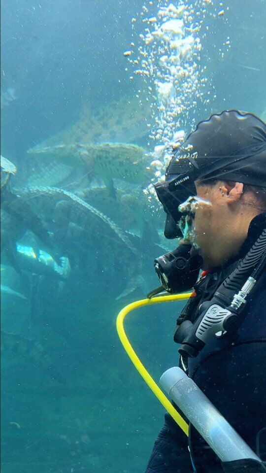 Can you imagine cleaning a tank full of crocodiles?

At Dubai Crocodile Park, we take the cleanliness of our crocodile aquarium very seriously. We are committed to keeping our aquarium clean and safe for both our animals and our visitors.

Visit the Dubai Crocodile Park today to see our crocodiles in their sparkling clean home!

#dubaicrocodilepark #crocodile #dubai